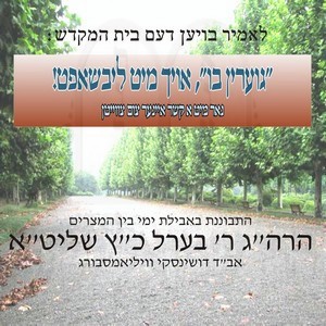 גוערין בו-אויך מיט ליבשאפט