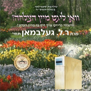 וואו ליגט מיין הצלחה