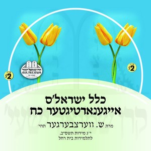 כלל ישראל'ס אייגענארטיגער כח