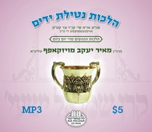 הלכות סעודה