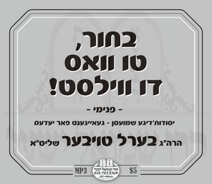 בחור! טו וואס דו ווילסט