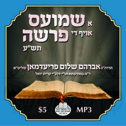 א שמועס אויף די פרשה תש''ע