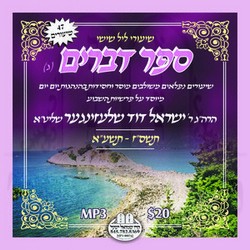 05 דברים תשס''ז-תשע''א